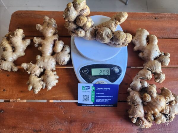 Fresh Ginger - Image 4